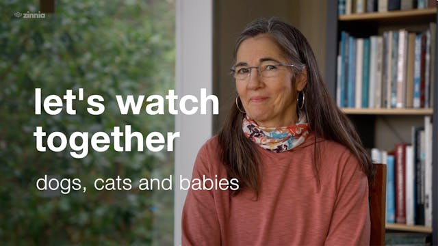 Let's Watch Together - Dogs, Cats and...