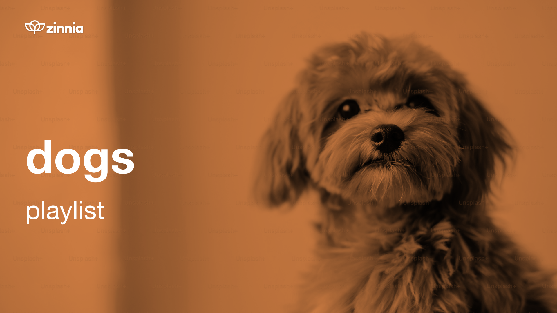 Dogs Playlist
