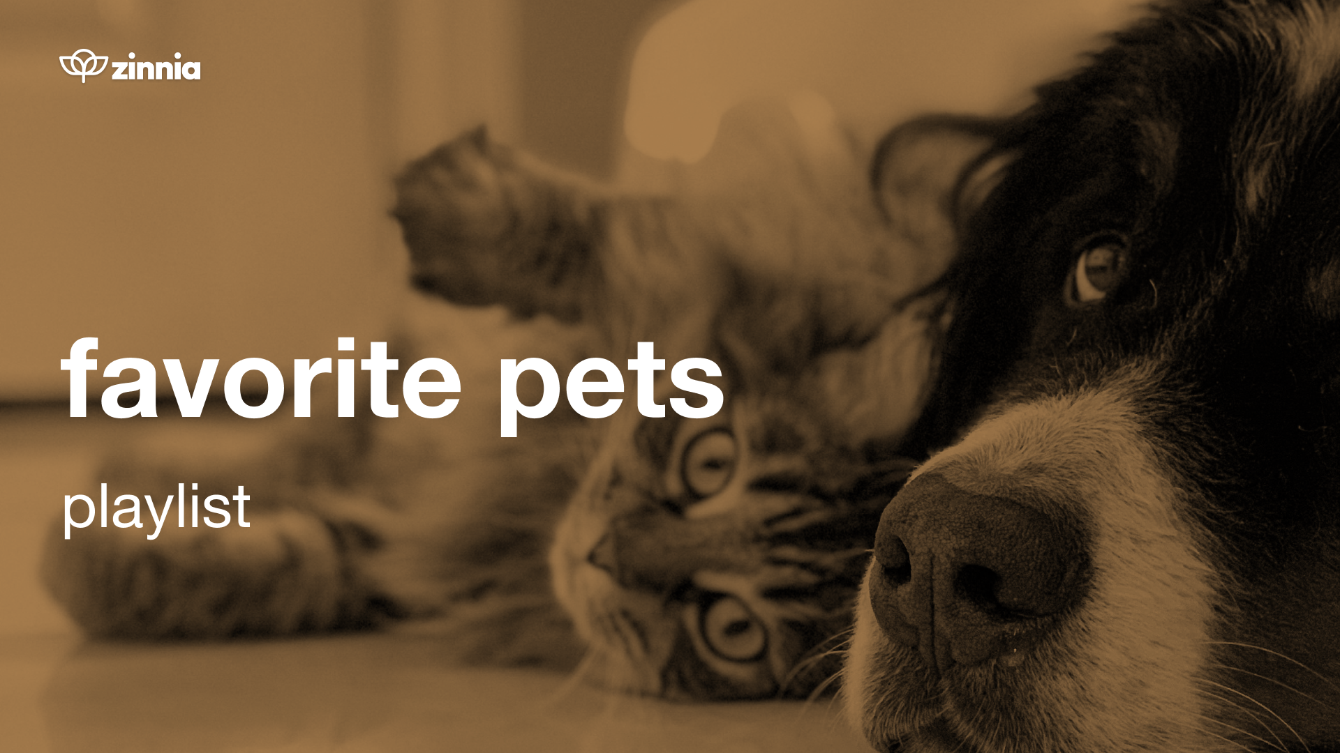 Favorite Pets