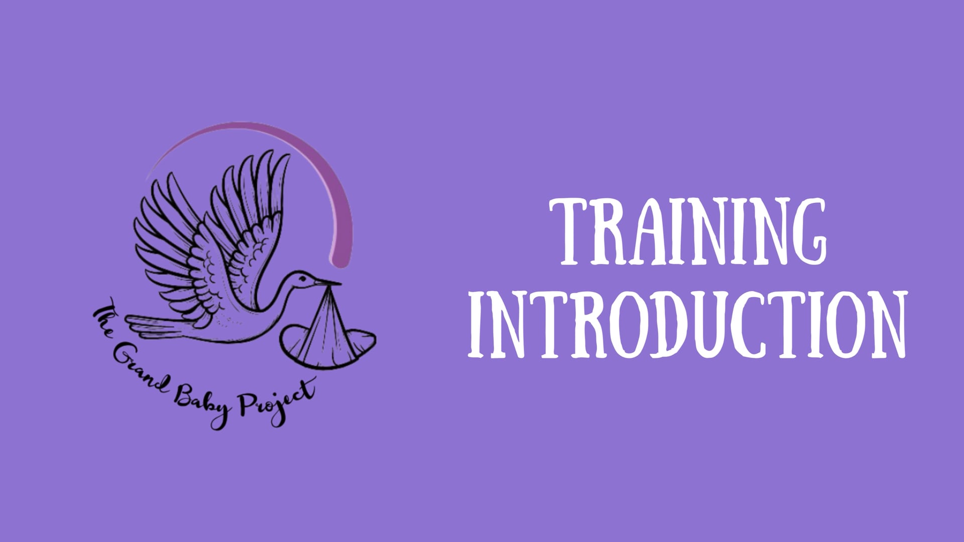 Training Introduction