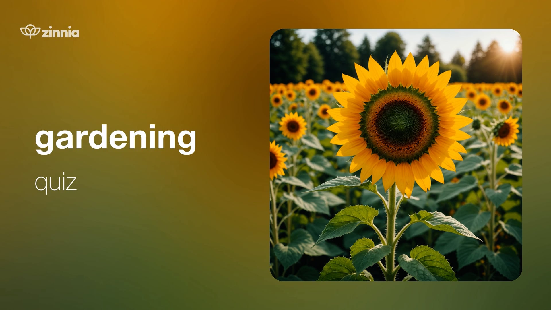 Gardening Quiz