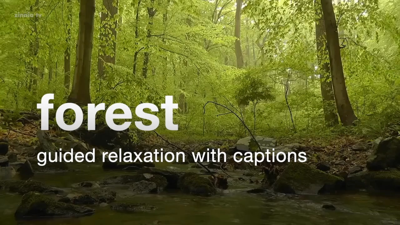 Forest - Guided Relaxation (with Captions)