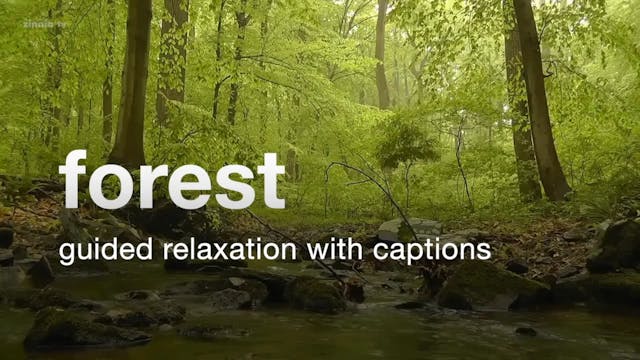 Forest - Guided Relaxation (with Capt...