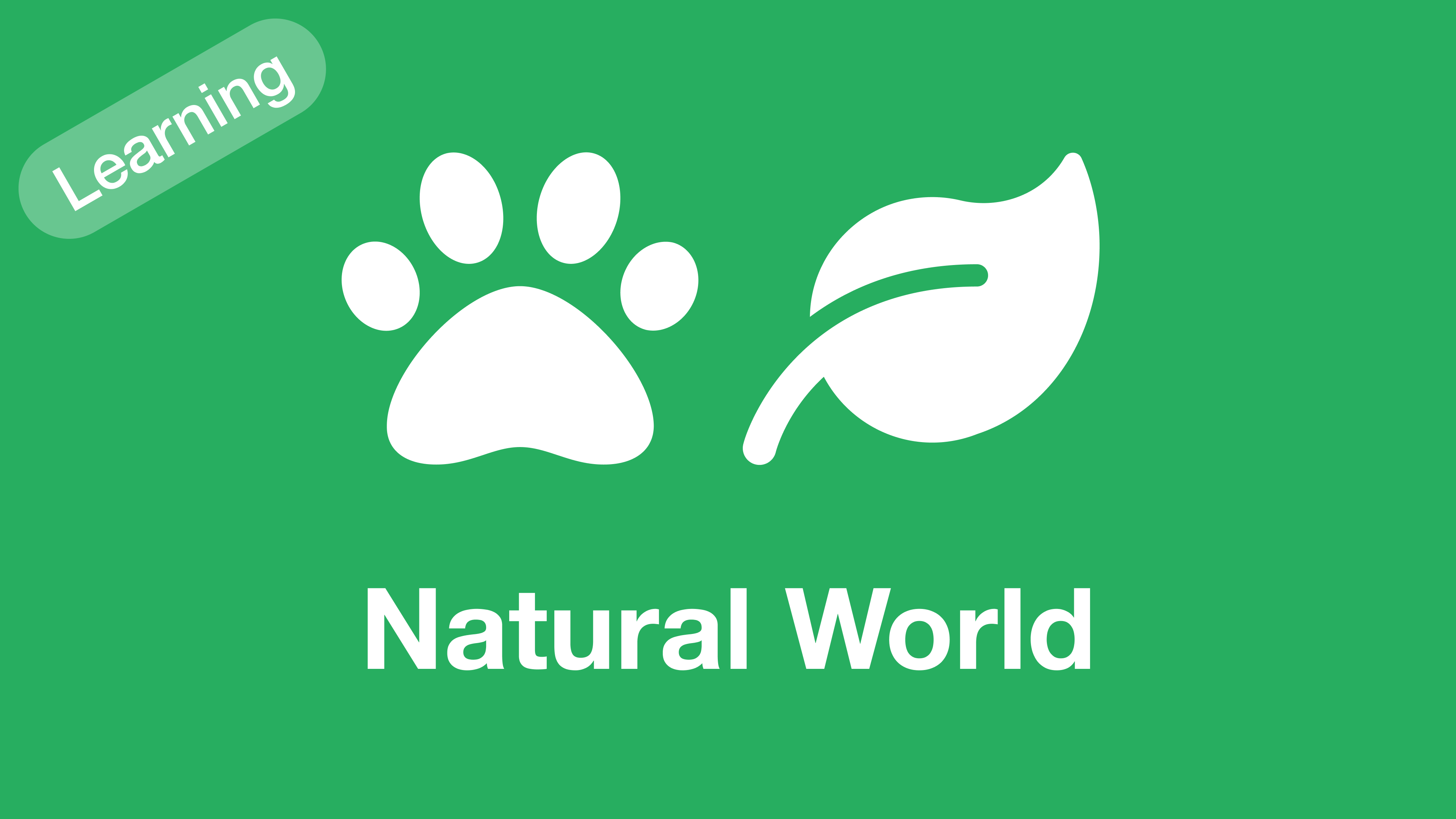 Learning Natural World
