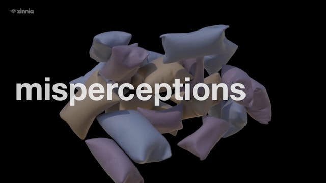 Misperceptions