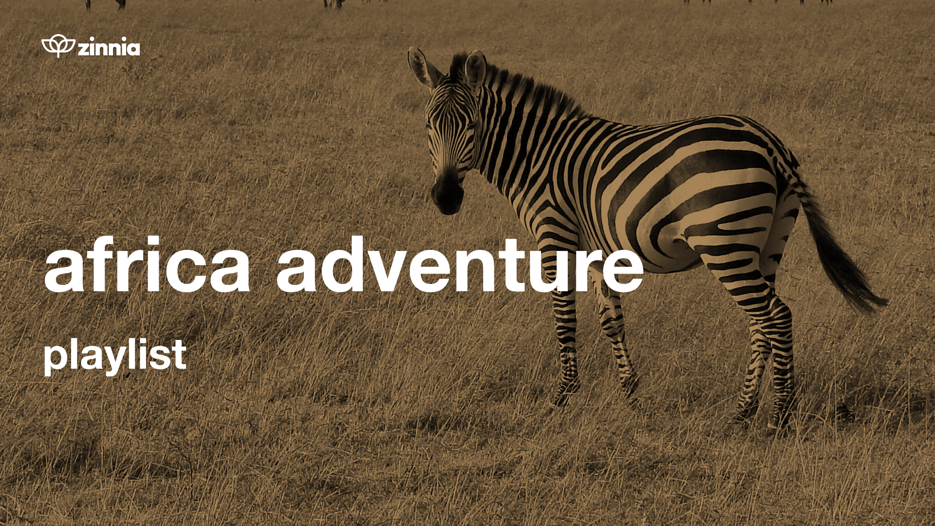Africa Adventure Playlist