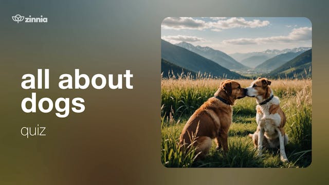 All About Dogs Quiz