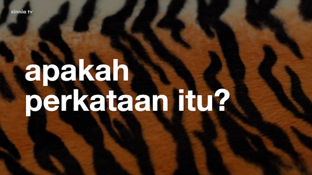 Malay • Apakah Perkataan Itu? (What is That Word?)