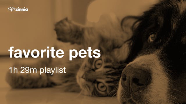 Favorite Pets - 1h 29m Playlist