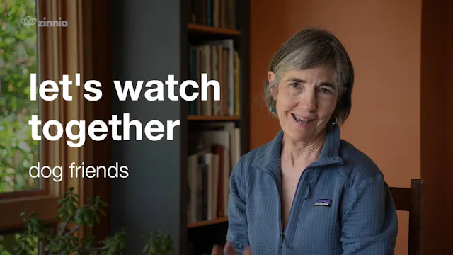 Watch-With Dogs 5 mins