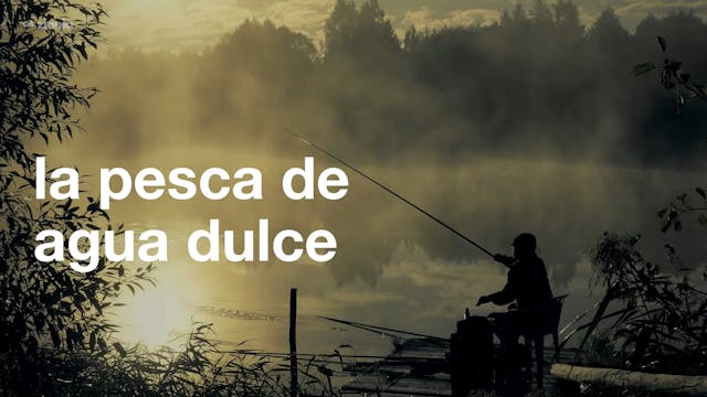 Pesca de Agua Dulce - Freshwater Fishing