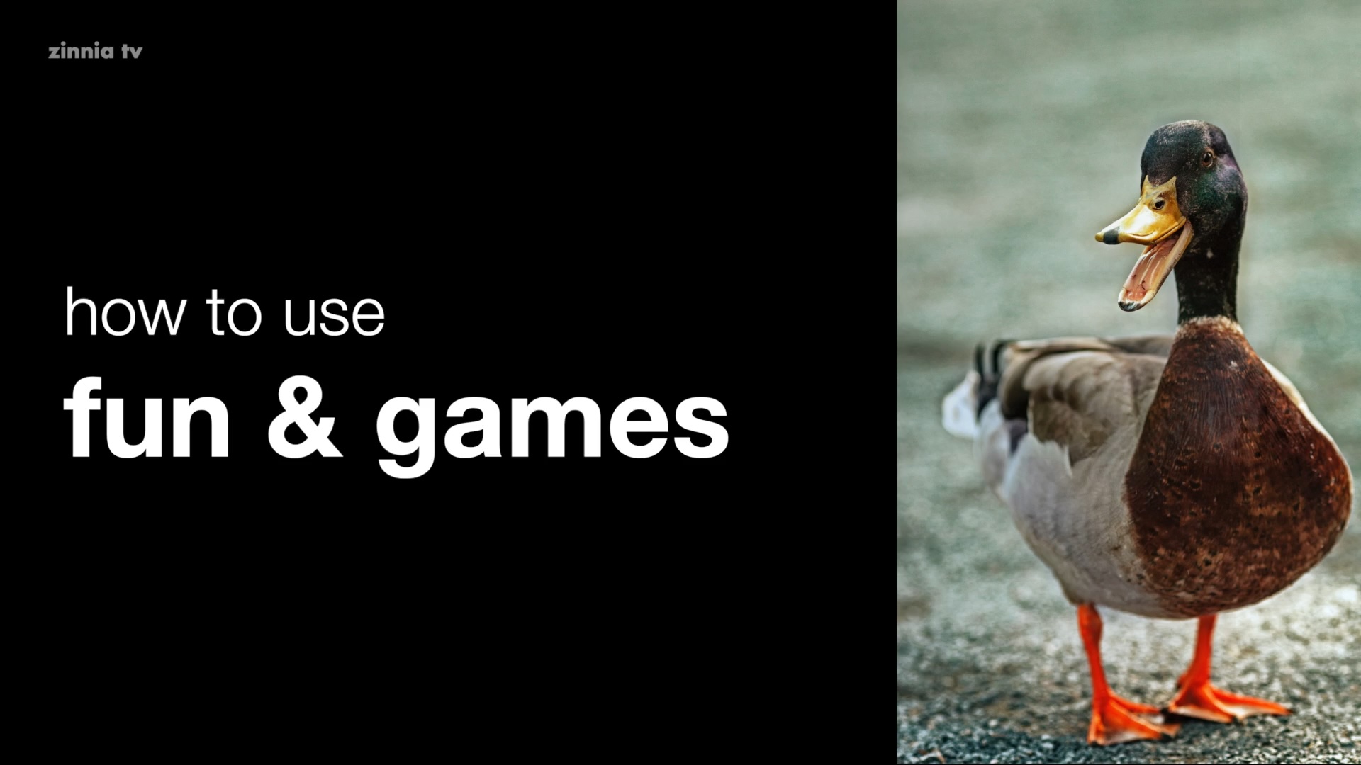 How to Use Fun & Games