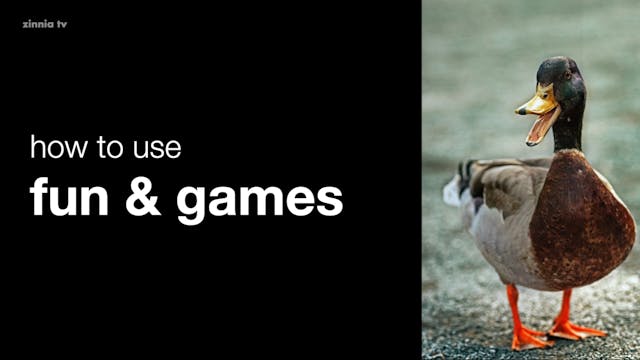 How to Use Fun & Games