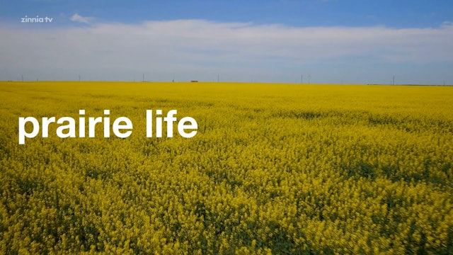 Prairie Life