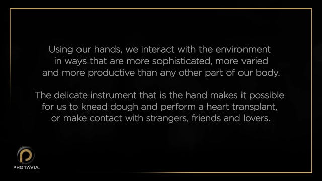 50700468_Bass Player Hands_7-2017