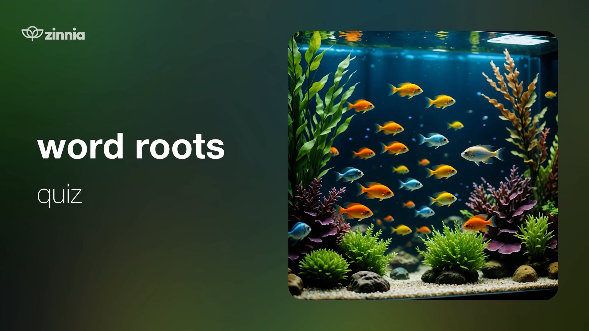 Word Roots Quiz