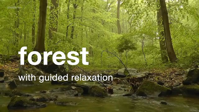 Forest with Guided Relaxation
