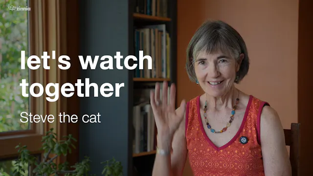 Watch Steve the Cat with Allyson