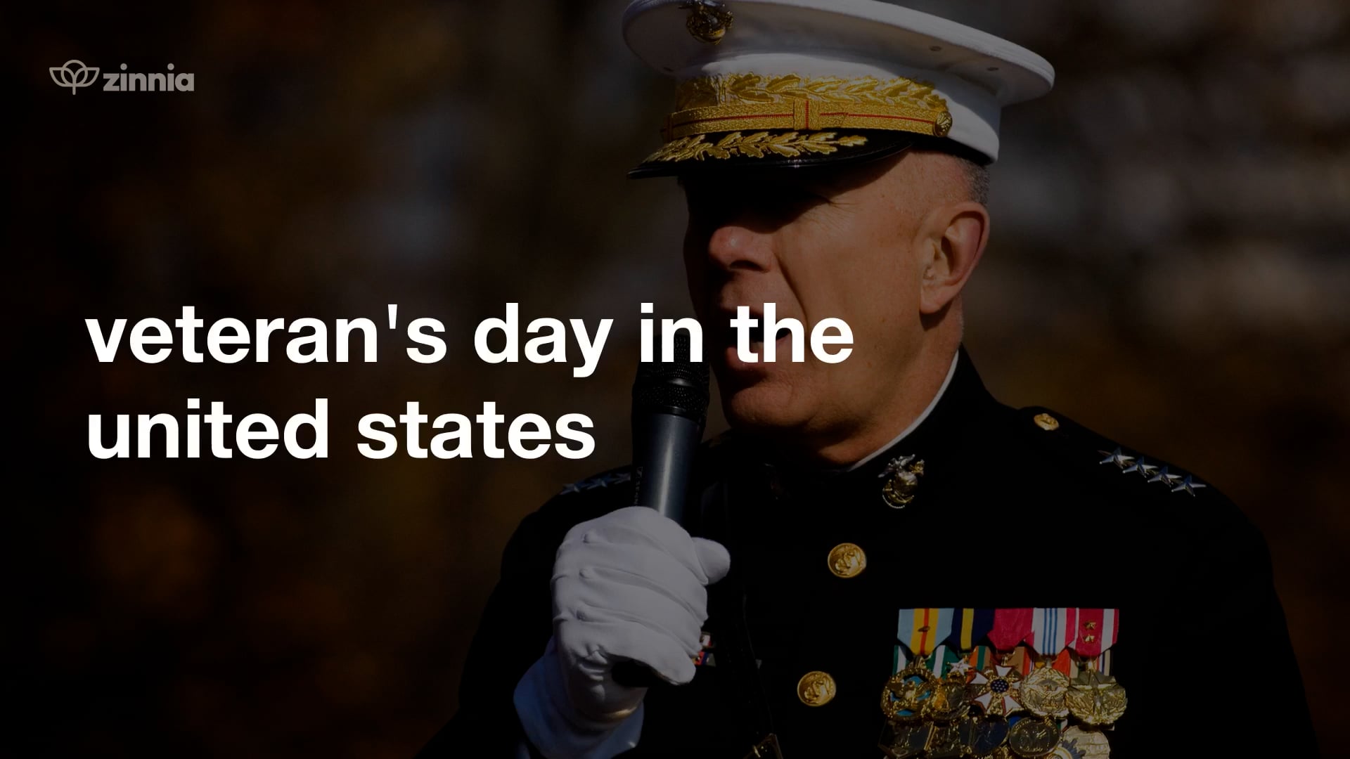 Veteran's Day in the United States