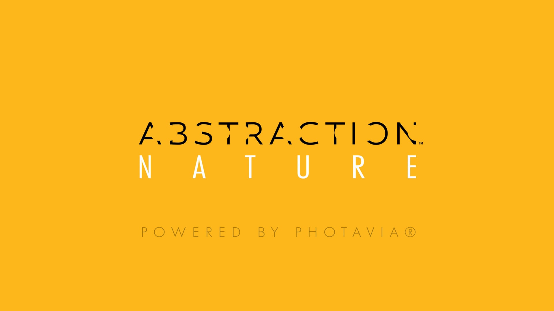 Abstraction Episode 6