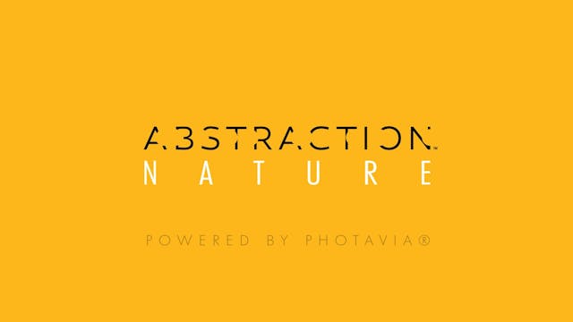 Abstraction Episode 6