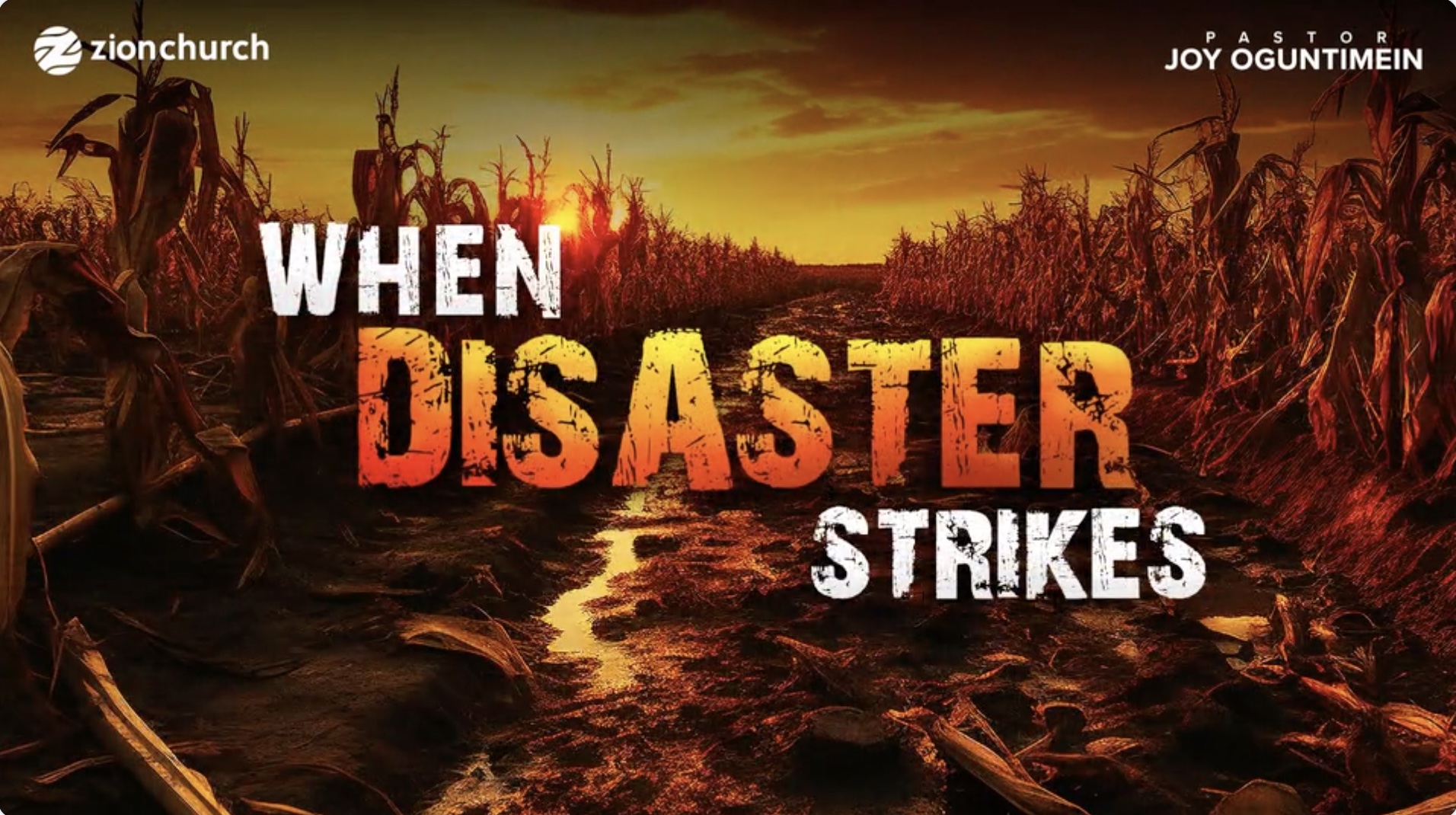 When Disaster Strikes