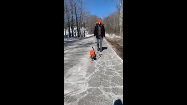 Big Stick Energy