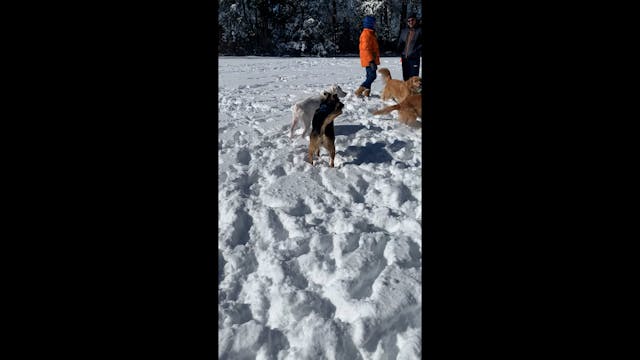 Wallace + Tessa Snow Day
