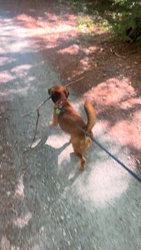 stick wallace
