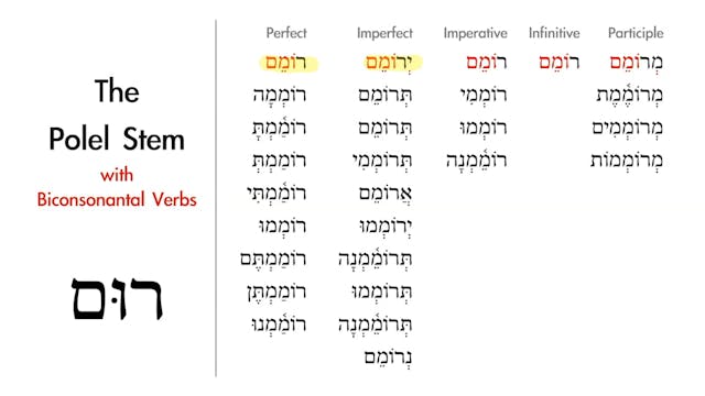 Basics of Biblical Hebrew - Session 31 - The Piel Stem Weak Verbs