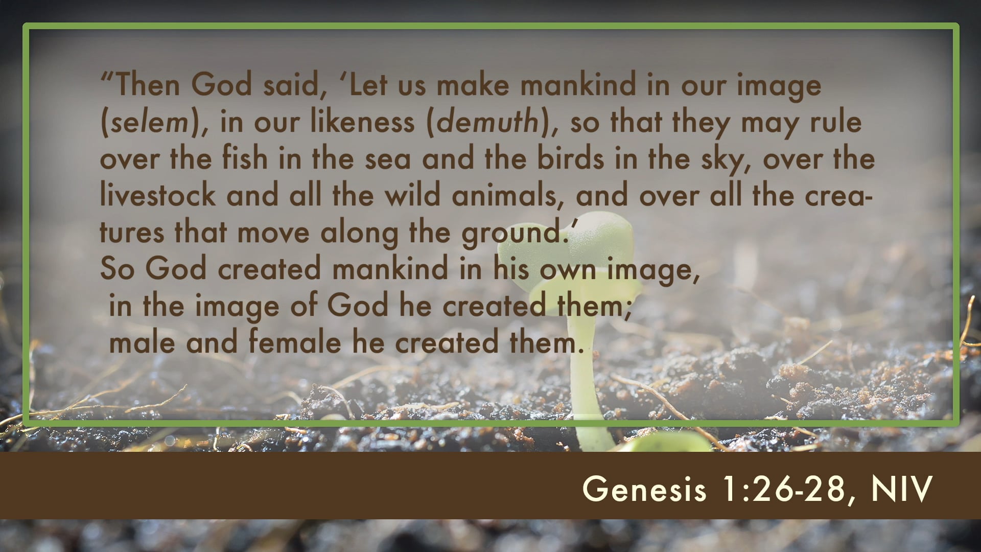 Kingdom of God - Session 2 - Yahweh the Creator Is King