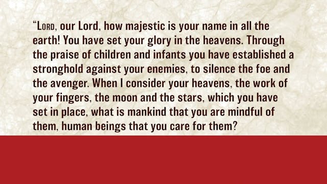 Daniel, A Video Study - Session 6 - D...