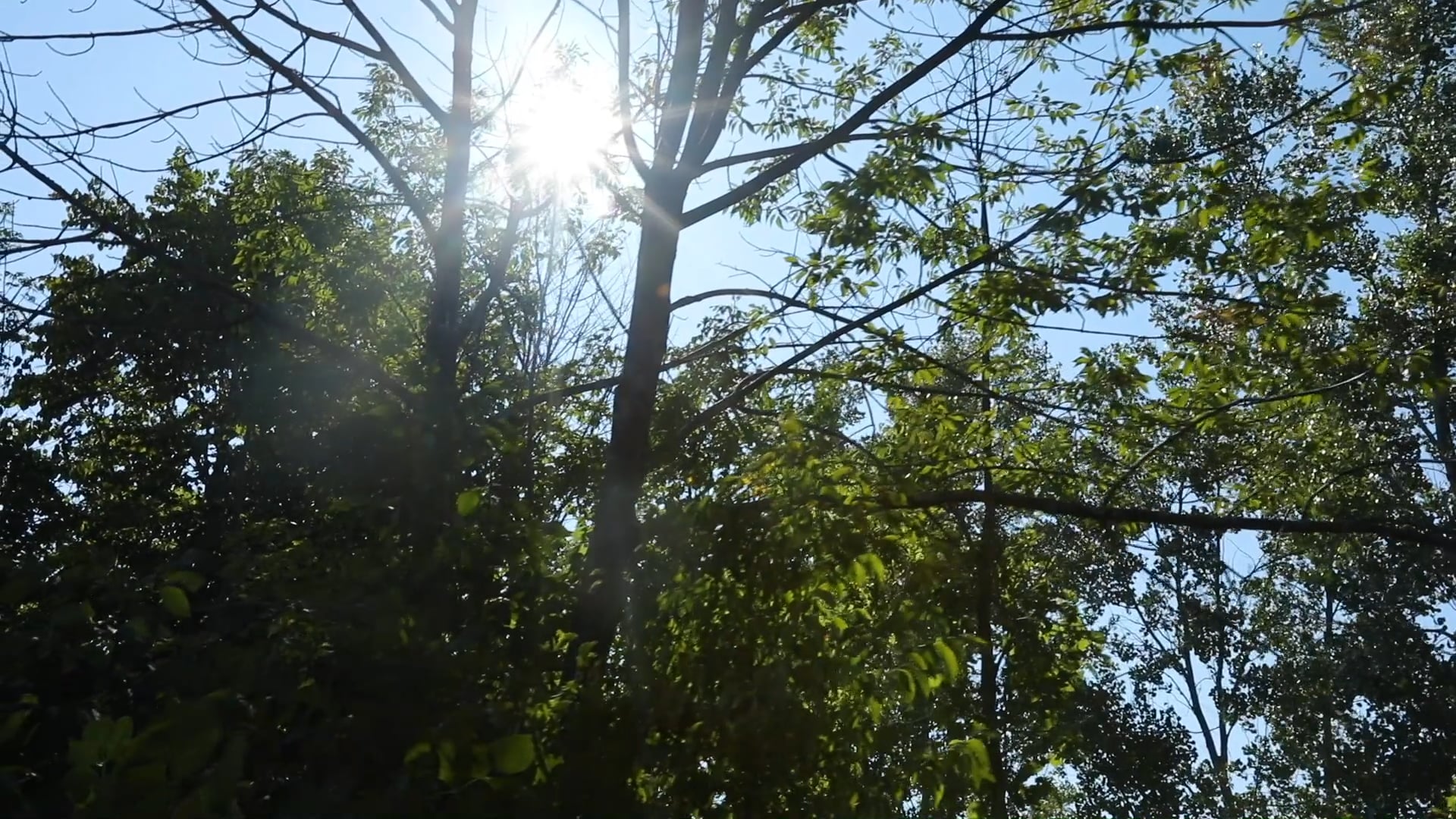 Creation Care - Session 4 - Members, Rulers, and Keepers of Creation