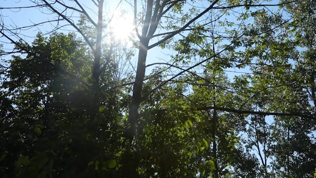 Creation Care - Session 4 - Members, ...