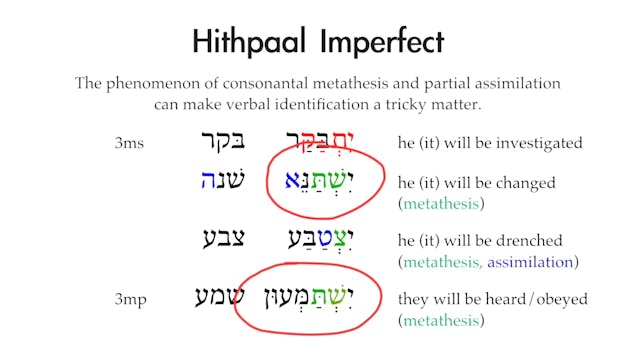 Basics of Biblical Aramaic - Session 20 - Hithpaal and Ithpaal Stems