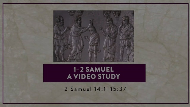 1-2 Samuel - Session 40 - 2 Samuel 14:1-15:37