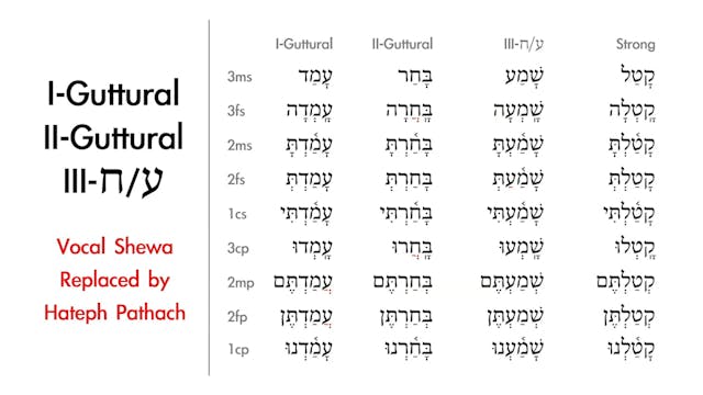 Basics of Biblical Hebrew - Session 14 - Qal Perfect Weak Verbs