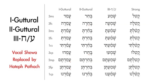 Basics of Biblical Hebrew - Session 14 - Qal Perfect Weak Verbs