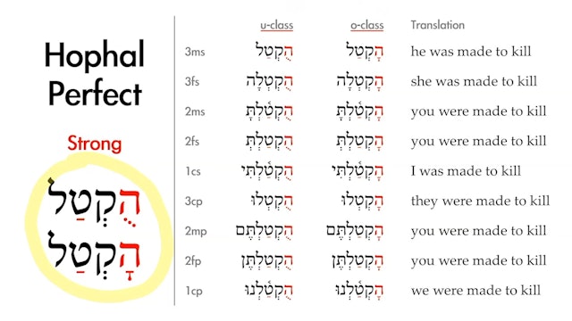 Basics of Biblical Hebrew - Session 28 - The Hophal Stem Strong Verbs