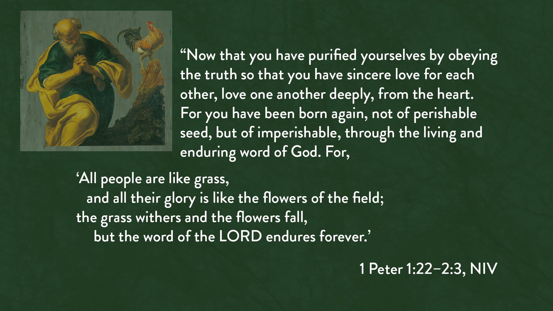 1 Peter - Session 5 - 1 Peter 1:22-2:3
