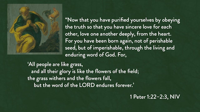 1 Peter - Session 5 - 1 Peter 1:22-2:3