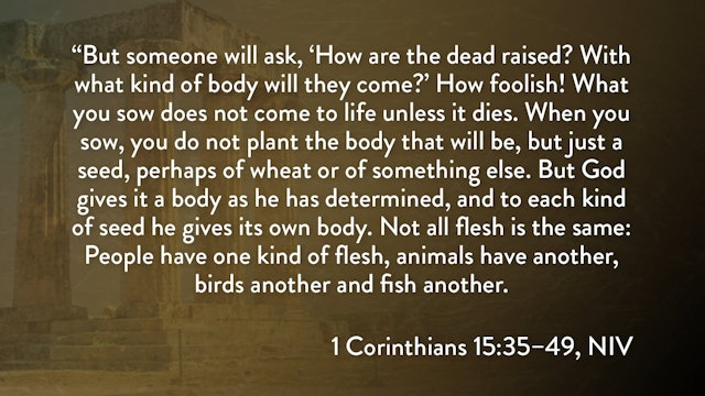 1 Corinthians - Session 32 - 1 Corinthians 15:35-49