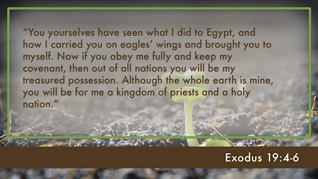 Kingdom of God - Session 3 - The Old ...