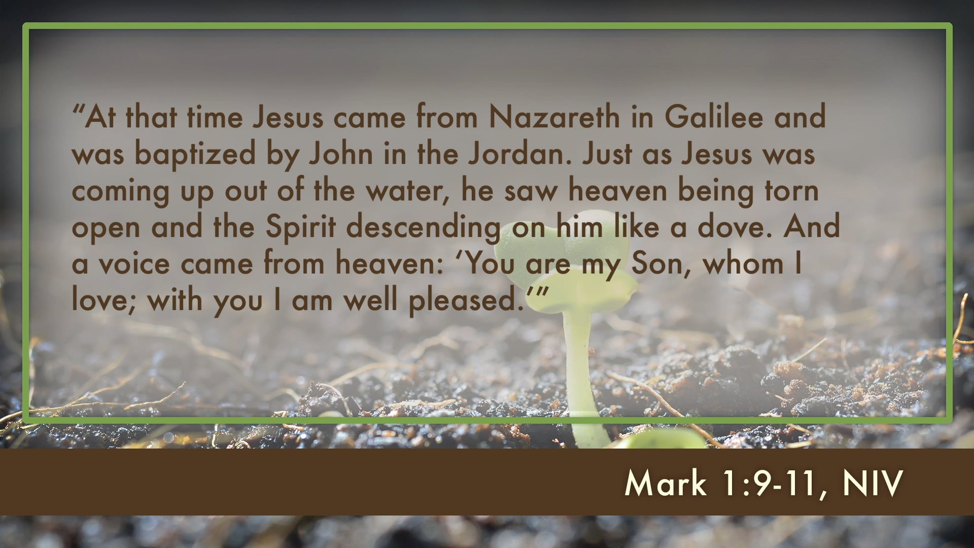 Kingdom of God - Session 5 - The Kingdom's King