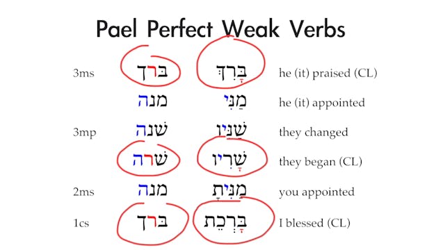 Basics of Biblical Aramaic - Session 19 - Pael Stem