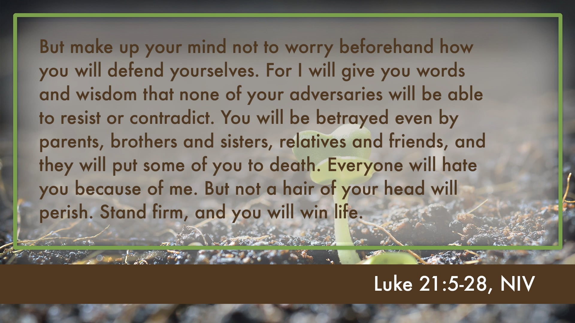 Kingdom of God - Session 10 - Future Signs of the Kingdom