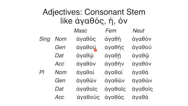 Reading Biblical Greek - Session 39 - Adjectives