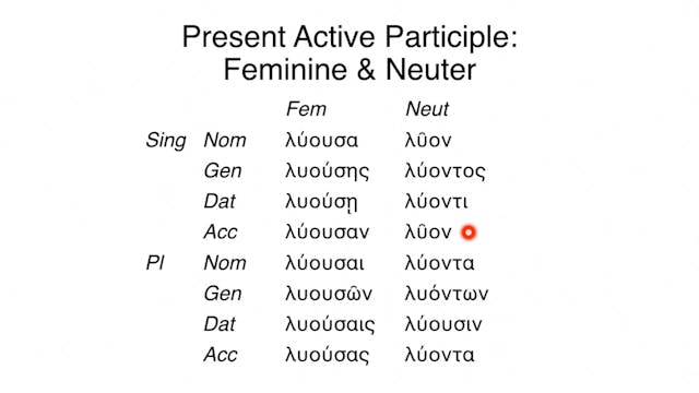 Reading Biblical Greek - Session 54A - Participles: Feminine and Neuter