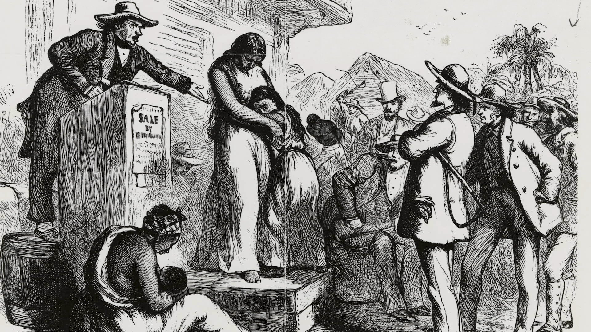 The Color of Compromise - Session 4 - Institutionalizing Race, Antebellum Era