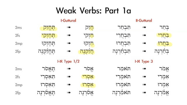 Basics of Biblical Hebrew - Session 18 - Qal Imperative